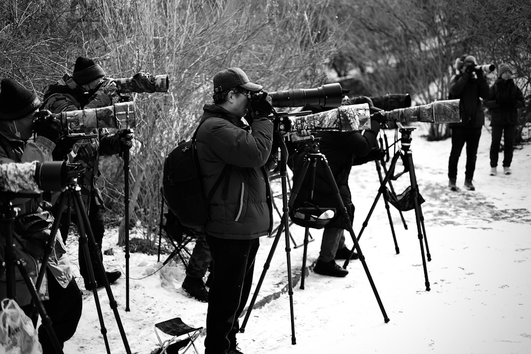 Exploring the Best Tripods for Stable Shooting Experiences Exploring the Best Tripods for Stable Shooting Experiences